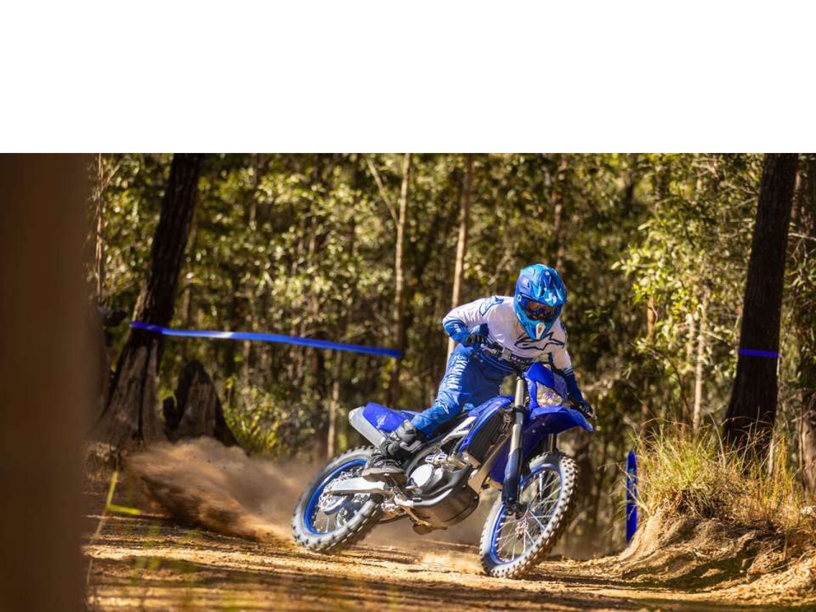 Мотоцикл YAMAHA WR250F (Icon Blue) 2024